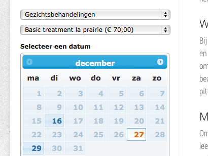 online afsprakensysteem